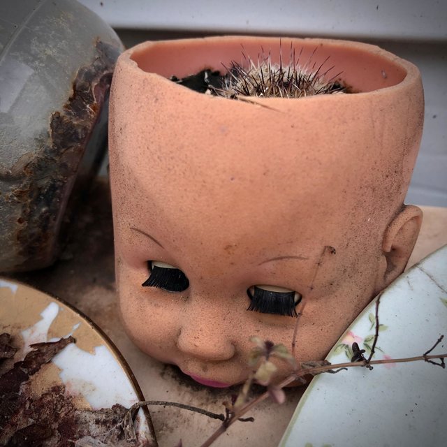 Fall from Grace