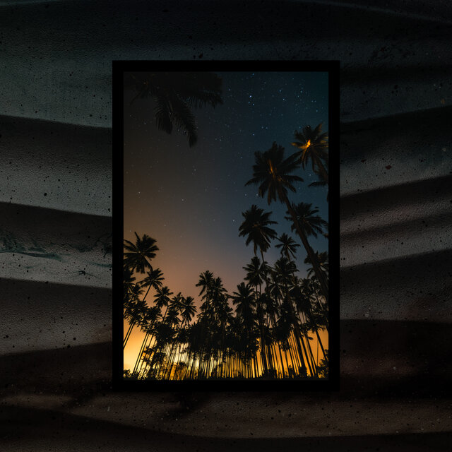 Where the Forest Meets the Stars