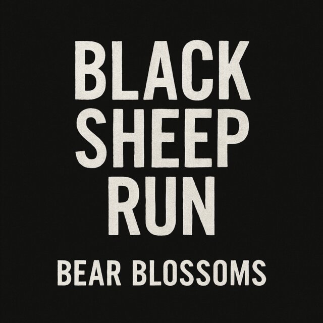 BLACK SHEEP RUN