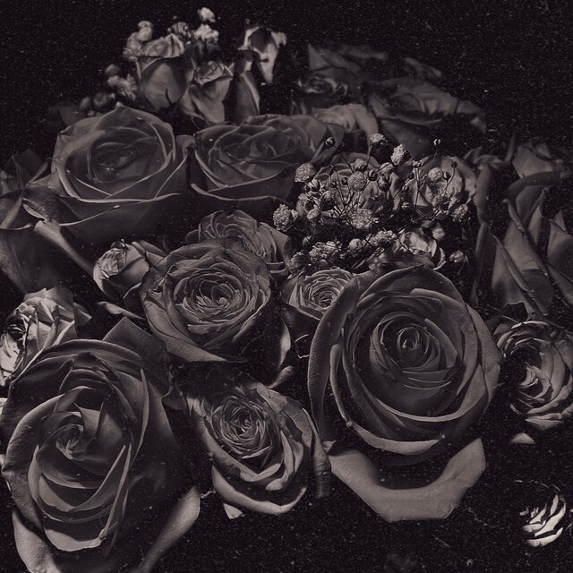 Petals