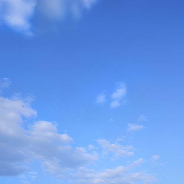 Fly