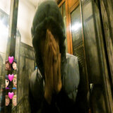 Mas+Mas+Mas