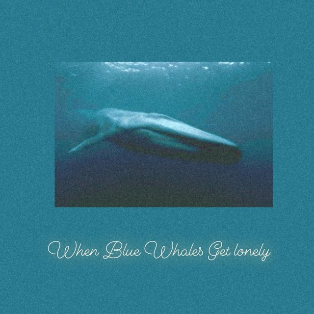 When Blue Whales Get lonely (Cold Remix)