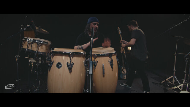 Pantera + Guerrera - Rondo