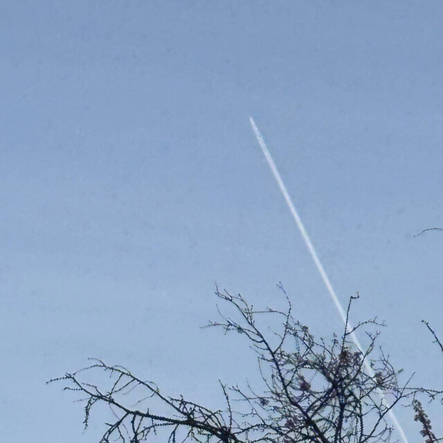X-Wing