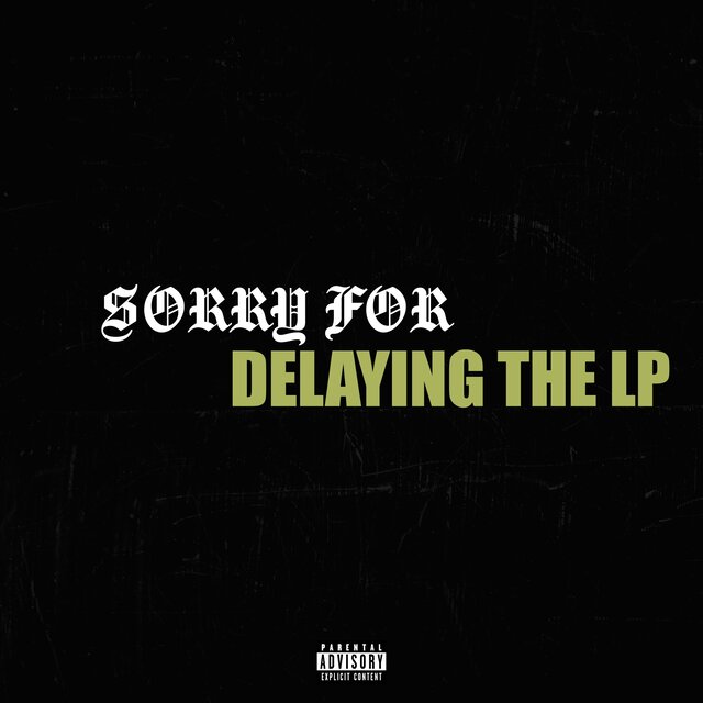 SORRY FOR DELAYING THE ALBUM