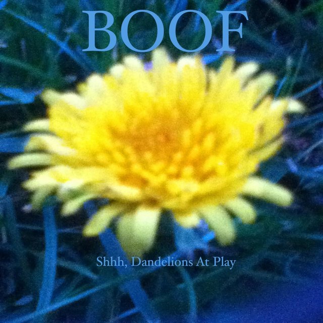 Shhh, Dandelions at Play