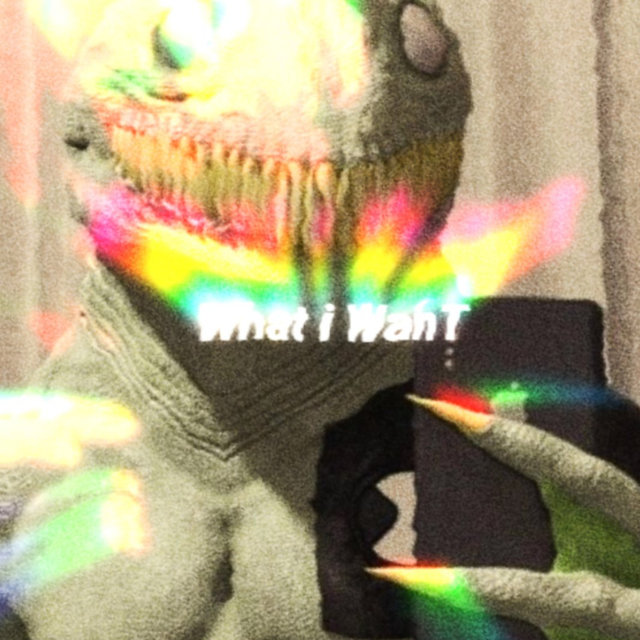 What I Want