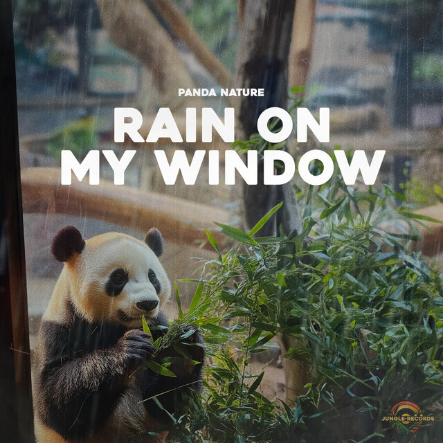 Rain on my Window