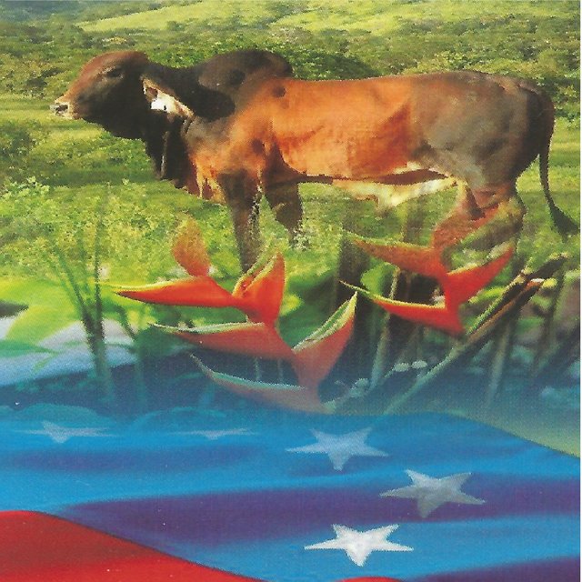 Llanura Yo Soy Tu Hijo