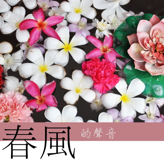 春風的聲音 - 大自然和森林聲音為了休息，催眠，午覺