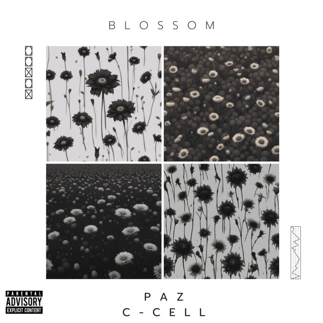 Blossom