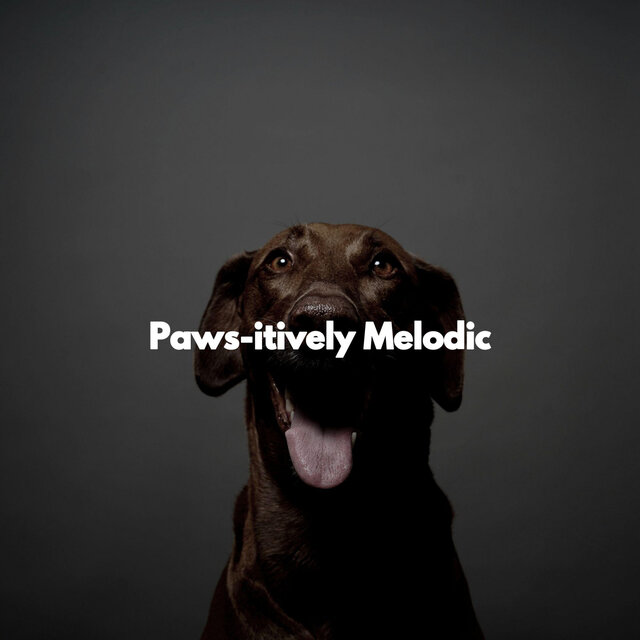 Paws-itively Melodic