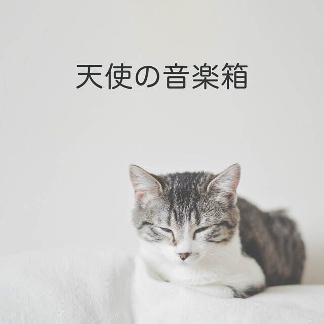 天使の音楽箱