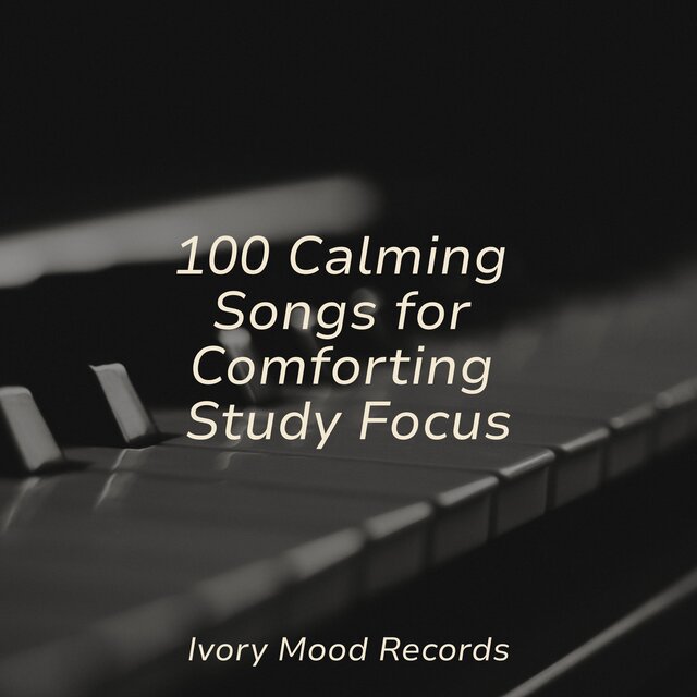 100 Calming Songs for Comforting Study Focus