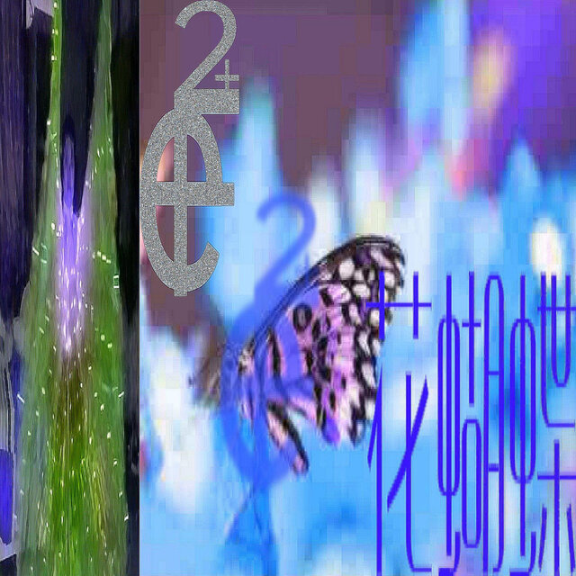花蝴蝶