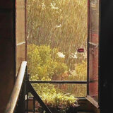 一起淋过的雨