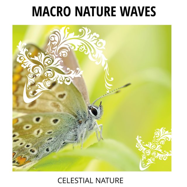 Macro Nature Waves - Celestial Nature