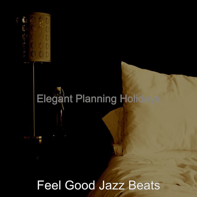 Elegant Planning Holidays