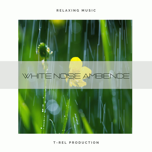 White Noise Ambience