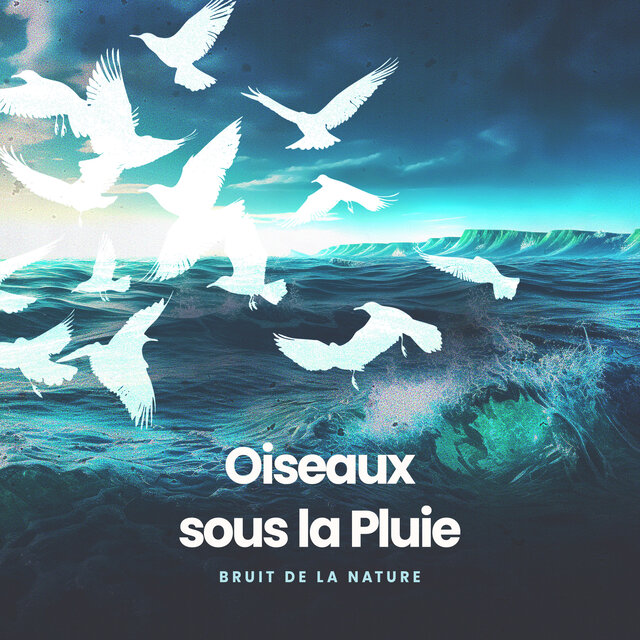 Oiseaux sous la Pluie