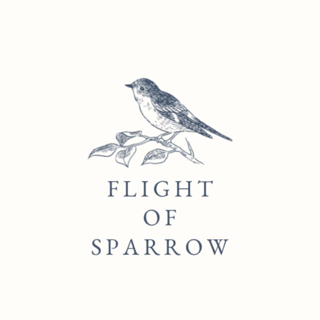 Flight of Sparrow