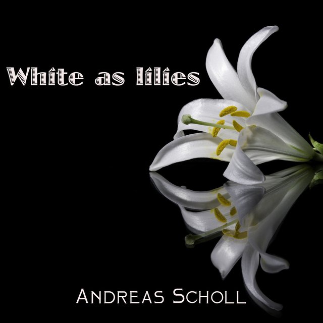White as Lilies