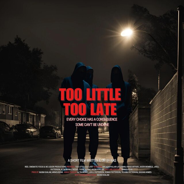 Too Little Too Late Official Soundtrack