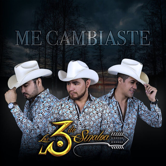 Me cambiaste