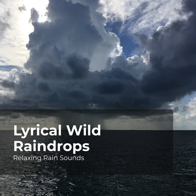 Lyrical Wild Raindrops