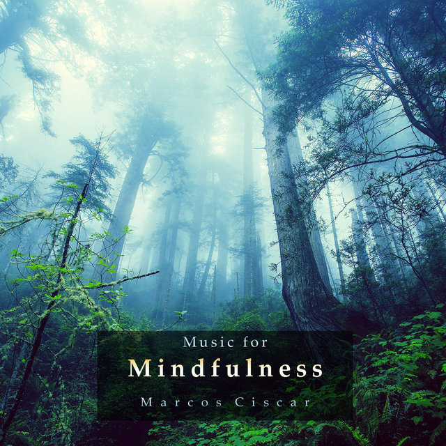 Music for Mindfulness