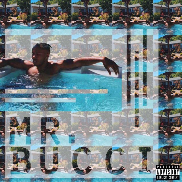 Mr. Bucci