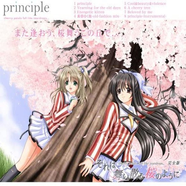principle