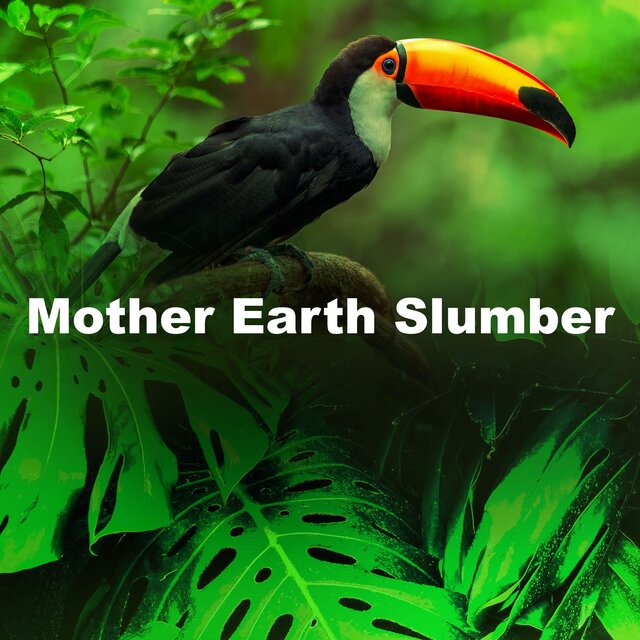 Mother Earth Slumber