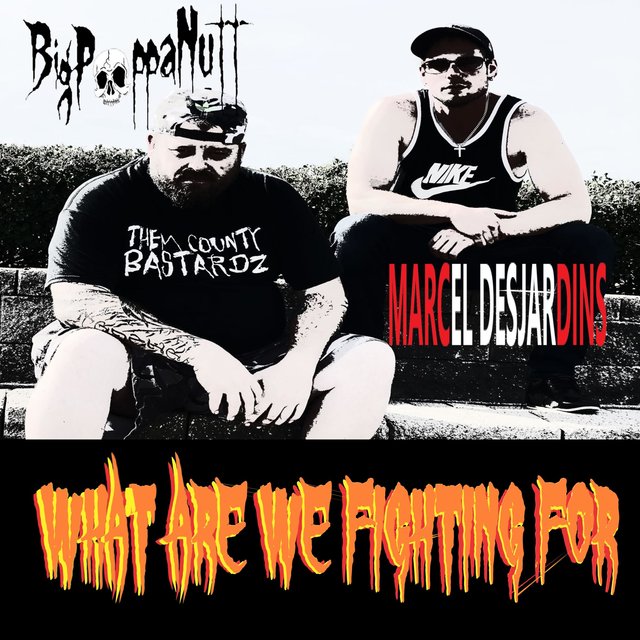 What Are We Fighting for (feat. Marcel Desjardins)