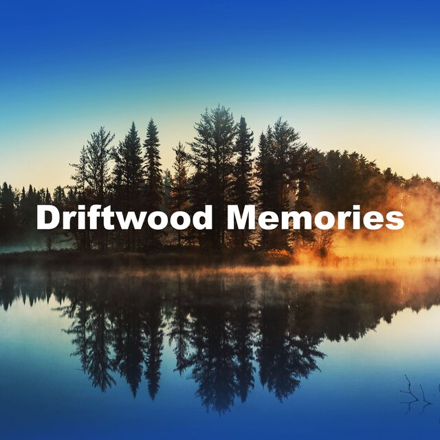 Driftwood Memories