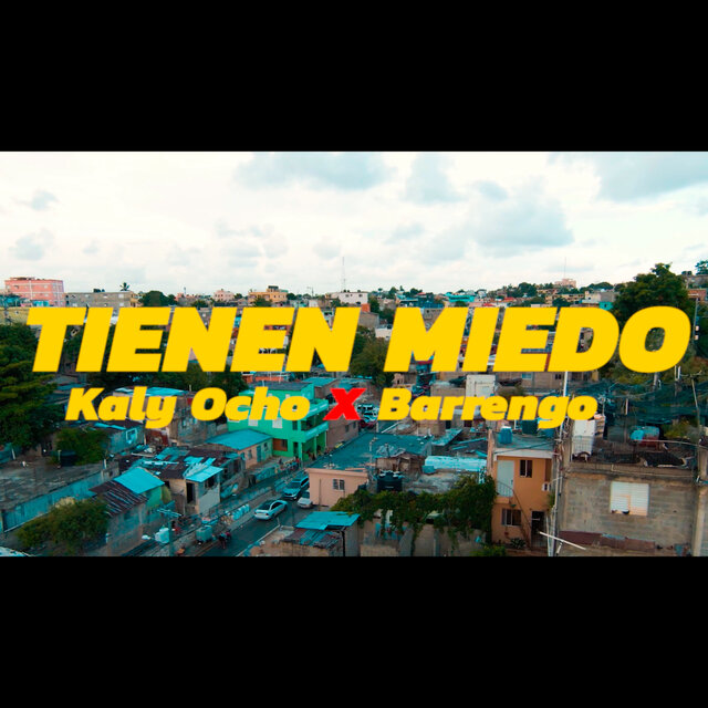 Tienen Miedo (Remix)