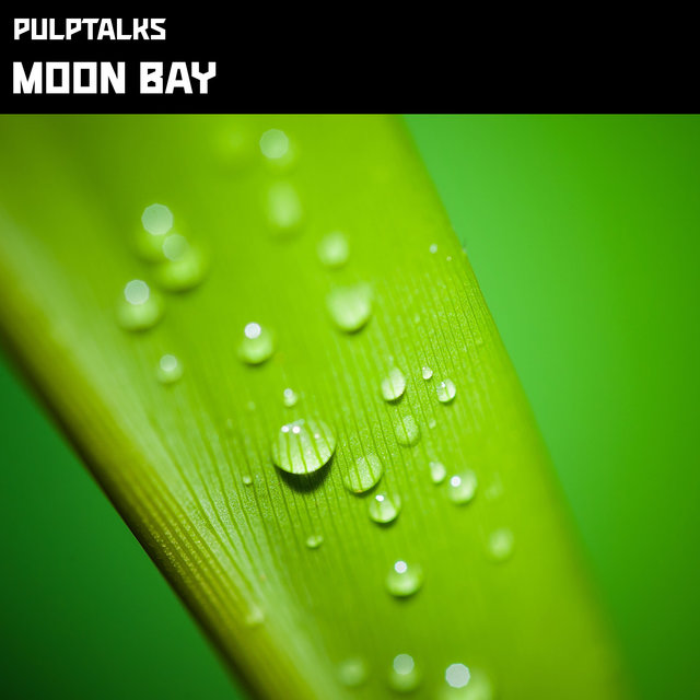 Moon Bay
