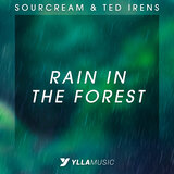 Rain In The Forest (Radio Edit)