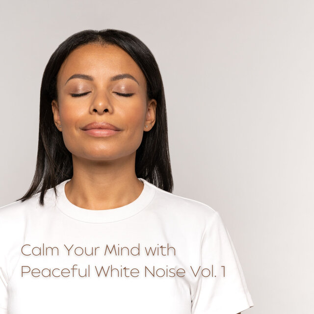 Calm Your Mind with Peaceful White Noise Vol. 1