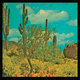 Cover art for album It's a Long Long Way To Meximotown by Puta Madre Brothers