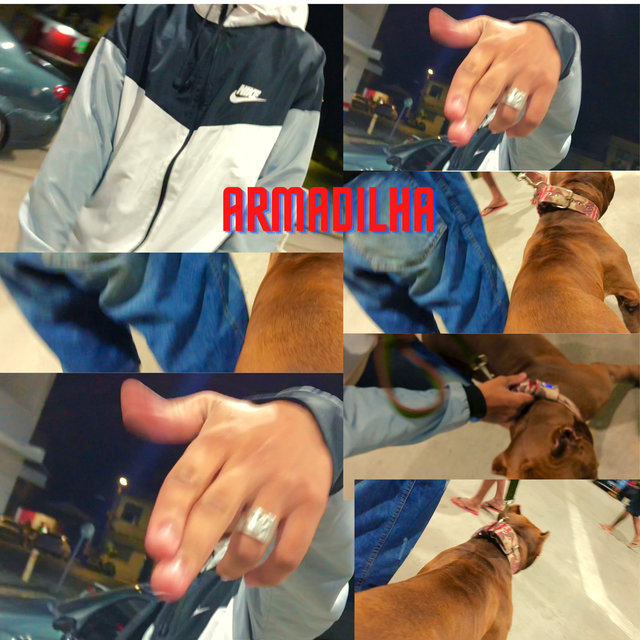 Armadilha