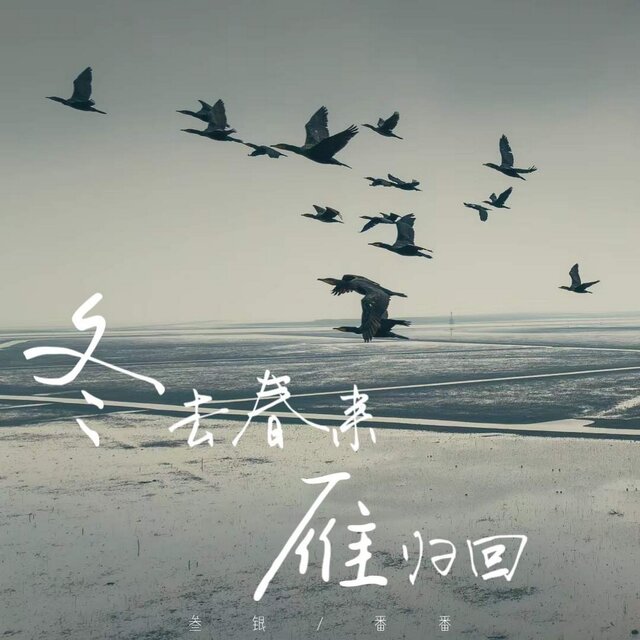 冬去春来雁归回