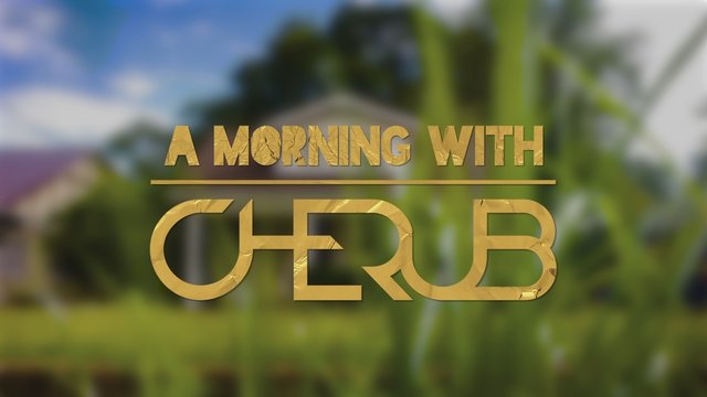 A Morning with Cherub
