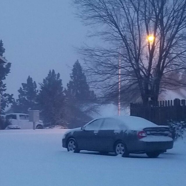 Winter Wasteland