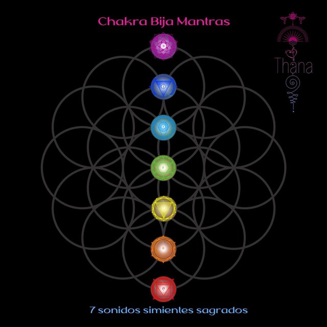 Chakra Bija Mantras 7 Sonidos Simientes Sagrados