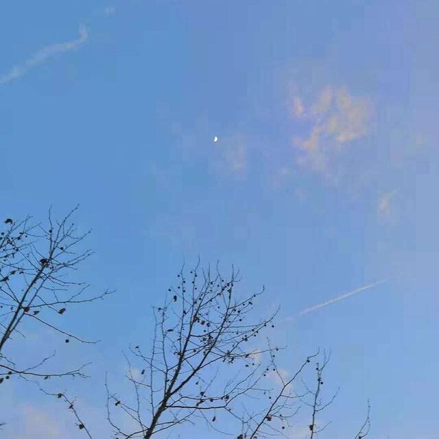 这一生关于你的风景 (伴奏)