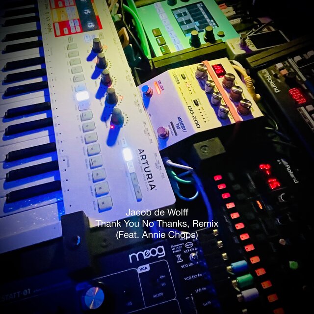 Thank You No Thanks (Remix)