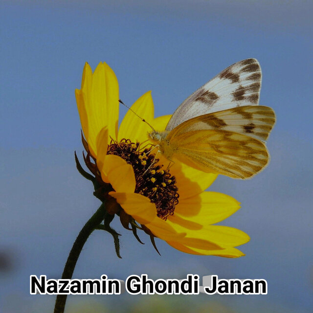 Nazamin Ghondi Janan