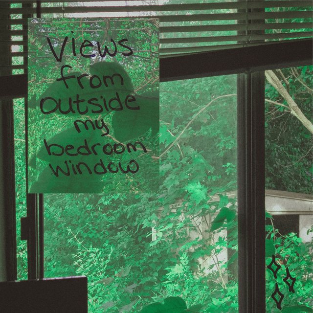 views from outside my bedroom window